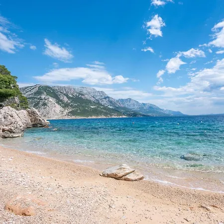 Marko Pisak